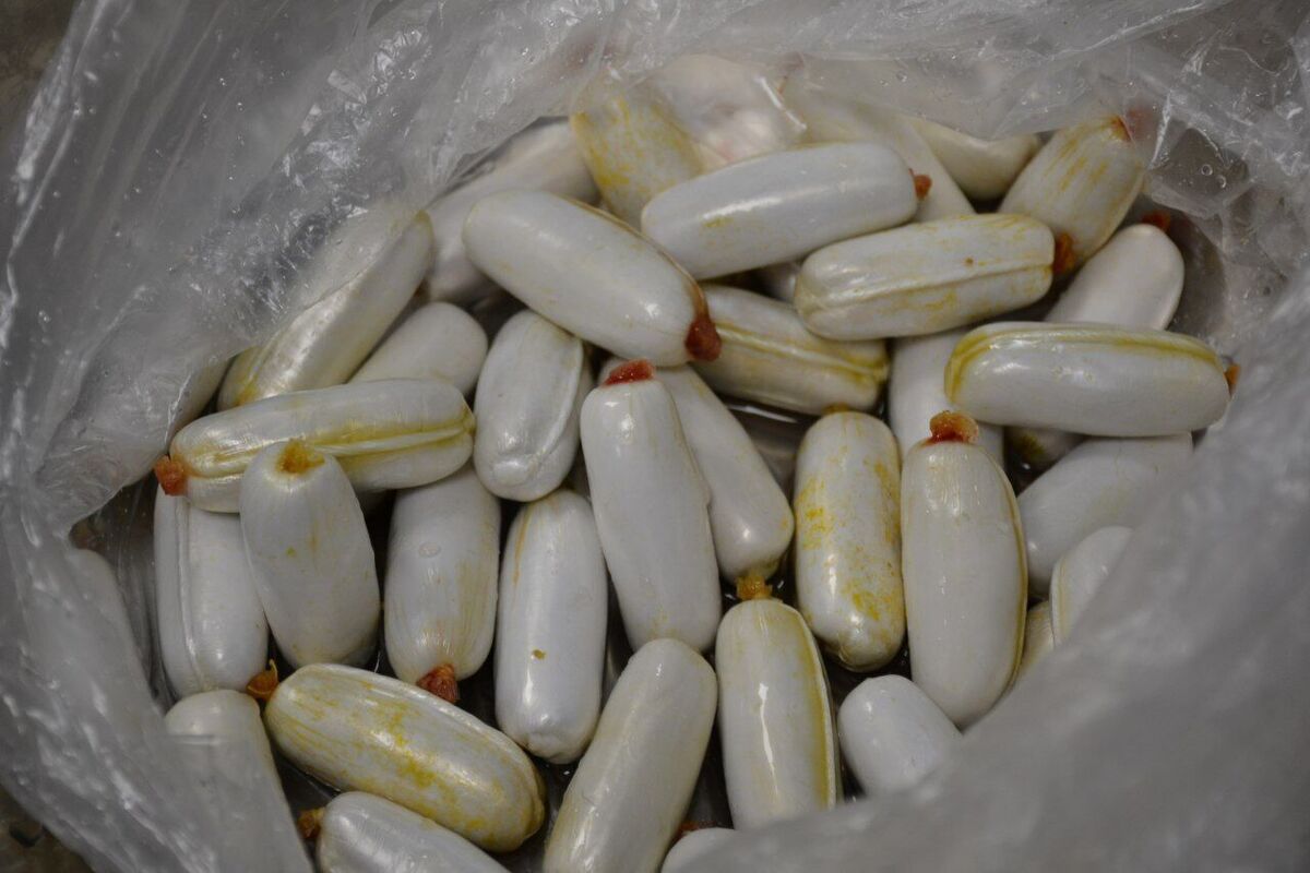 فرمانده انتظامی بجستان گفت: سه نفر متهم با سه کیلو و ٦۰۰ گرم هروئین بلعی در این شهرستان شناسایی و دستگیر شدند.