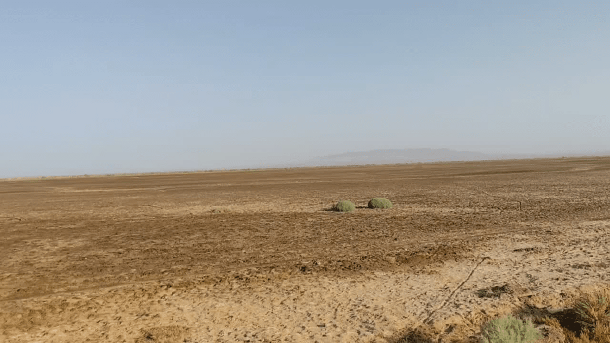 رئیس اداره محیط‌ زیست ورامین با اعلام اینکه تالاب بندعلیخان کاملاً خشک شده است، از عدم تخصیص حقابه زیستی این پهنه طی یک سال گذشته انتقاد کرد و گفت: باوجود جریان مناسب در رودخانه شور، همه آب به سمت قم هدایت می‌شود و تالاب هیچ سهمی ندارد.