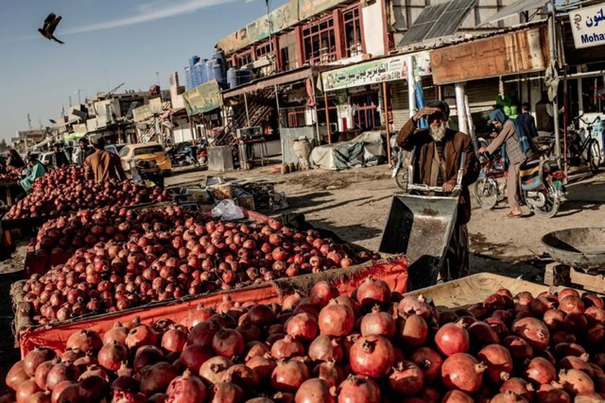 رسانه آمریکایی نوشت: پس از درگیری‌های نظامی مرگبار فرامرزی، دولت‌های پاکستان و افغانستان مردم خود را در یک جنگ تجاری گرفتار کرده‌اند که معیشت میلیون‌ها نفر را تهدید می‌کند.