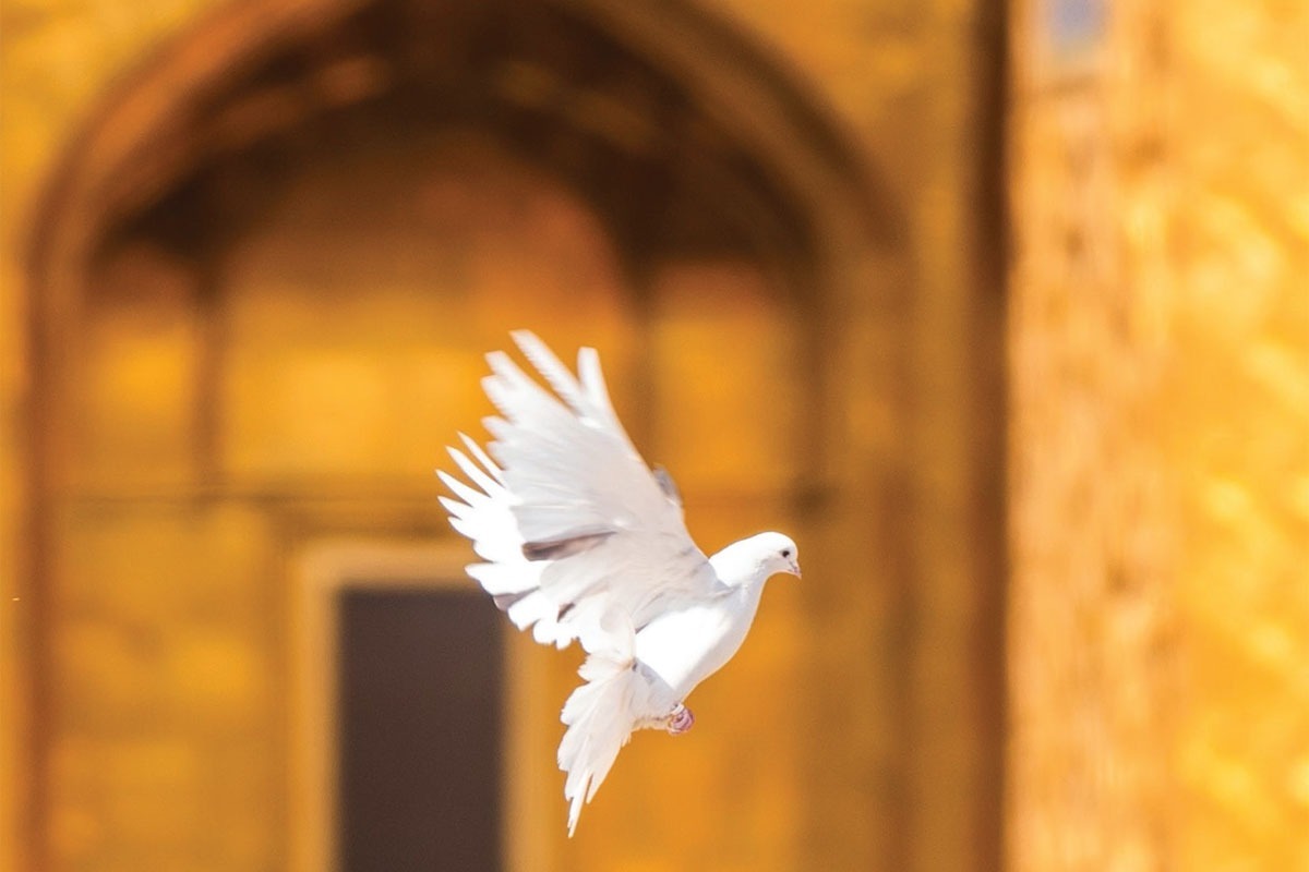 مروری بر فضیلت‌ها و آثار گره‌گشای زیارت امام رضا (ع) در گفت‌وگو با حجت‌الاسلام‌والمسلمین سیداسماعیل حاتمی.