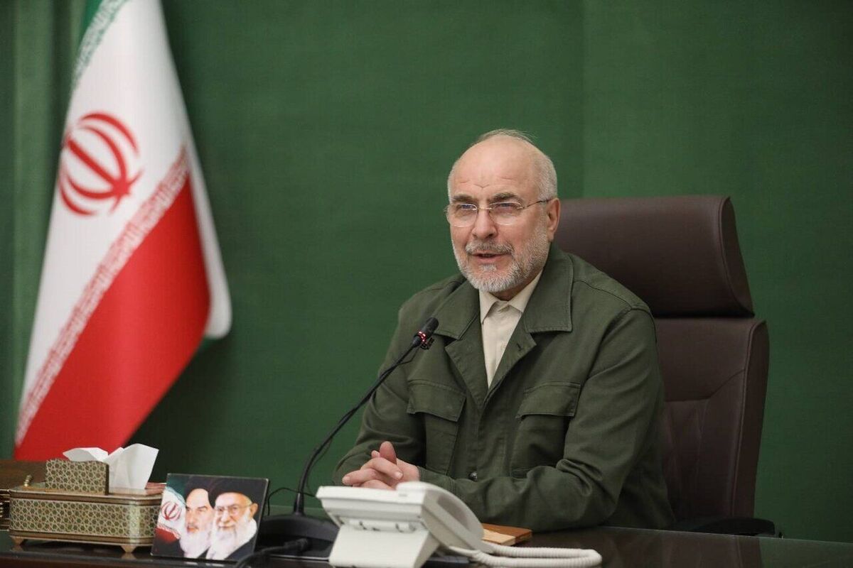 رئیس مجلس شورای اسلامی با انتقاد از طولانی‌شدن روند بررسی لایحه «حفظ کرامت و حمایت از زنان در برابر خشونت» گفت: رهبر معظم انقلاب نیز اخیراً در بیاناتشان صریحاً نسبت به خشونت علیه زنان هشدار داده‌اند؛ بنابراین نباید درگیر بحث بر سر واژگان شویم، بلکه باید قانون را به سرانجام برسانیم.