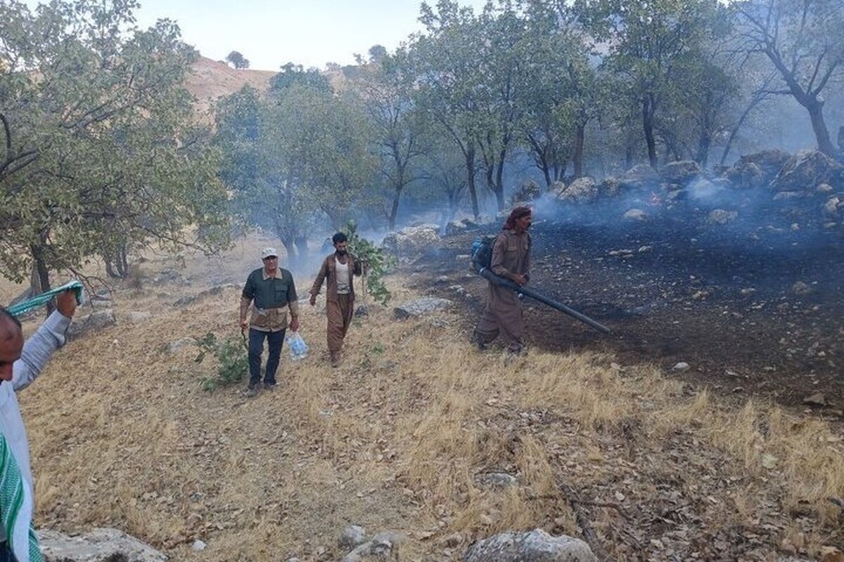 در ادامه عملیات اطفای حریق جنگل‌های الیت چالوس و با هدف تقویت توان میدانی، گروه‌های جدیدی از محیط‌بانان از استان‌های گلستان، گیلان، تهران و البرز به منطقه اعزام شدند.