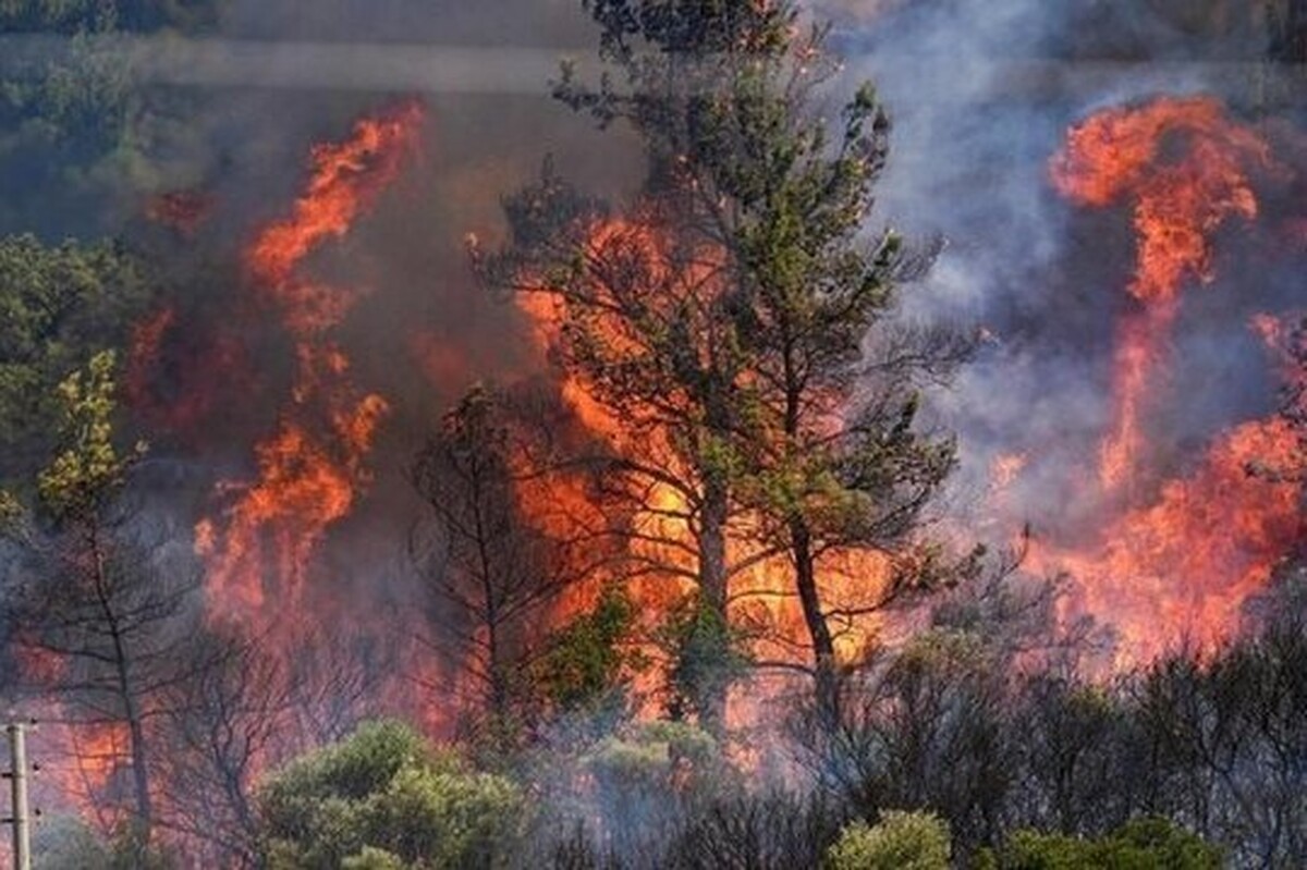 سخنگوی سازمان مدیریت بحران کشور از اجرای وسیع‌ترین عملیات اطفای حریق در جنگل‌های شمال خبر داد و گفت در آتش‌سوزی الیت چالوس، روزانه ده‌ها سرتی پرواز، دو هواپیمای غول‌پیکر ایلوشین سپاه و هشت فروند هلی‌کوپتر از نیرو‌های مختلف برای کنترل آتش به‌کار گرفته شده است.