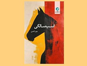 به نور ناامید ماه، به پرنده مادر | درنگی بر کتاب «اسب‌سالگی» اثر شاعر خراسانی