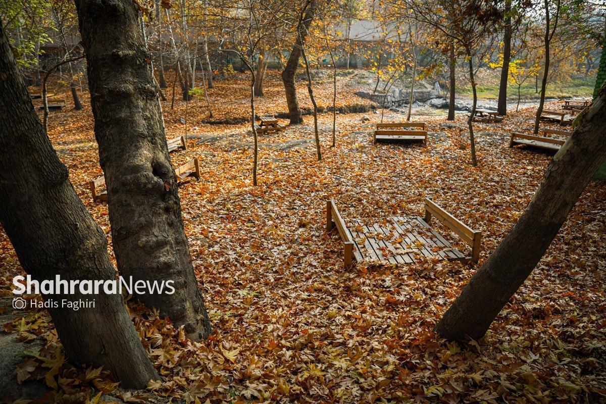تصاویری زیبا از بوستان وکیل آباد را مشاهده کنید. طبیعت پاییزی این بوستان با برگ‌های زرد و نارنجی مورد استقبال مردم مشهد قرار گرفته است.