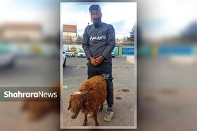 توبه مال خر، دست سارق سریالی احشام را رو کرد!