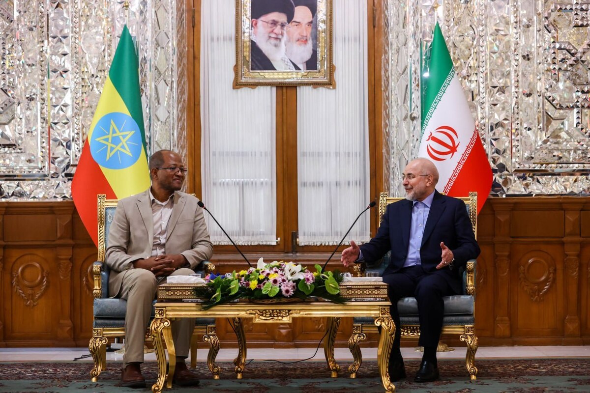 رئیس مجلس جمهوری اسلامی ایران و رئیس مجلس اتیوپی با یکدیگر دیدار کردند.