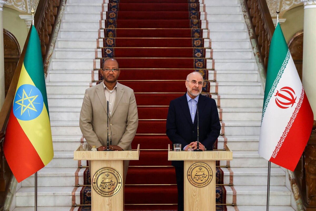 رؤسای مجلس ایران و اتیوپی در نشست خبری خود، بر ضرورت توسعه روابط میان دو کشور با توجه به عضویت هر دو در بریکس تأکید کردند.