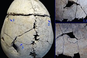 کشف گور ۶۲۰۰ ساله یک نوجوان