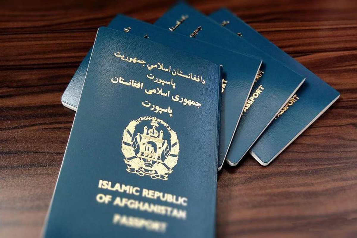 توضیحات رئیس مرکز امور اتباع وزارت کشور درباره آخرین مهلت پاسپورت‌های خانواری