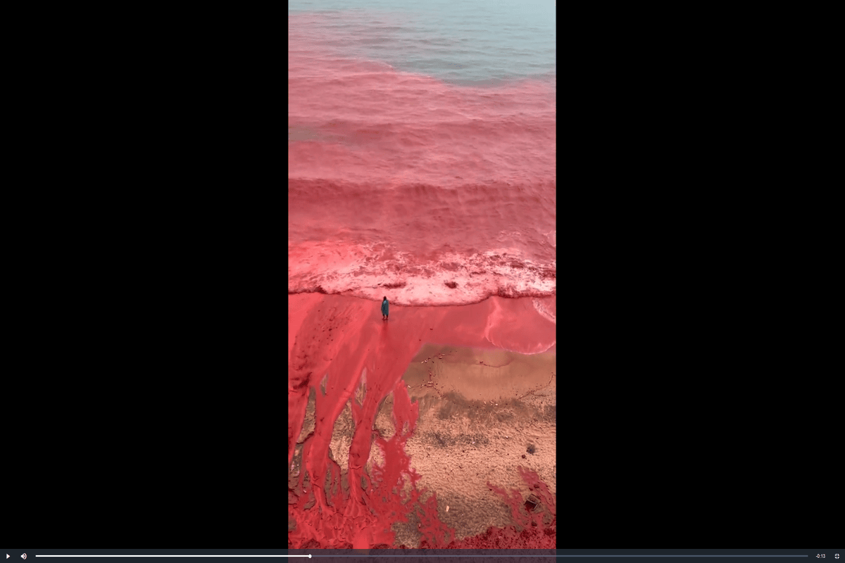 ویدئو | تصاویر خارق العاده از بارش باران در ساحل جزیره هرمز (۲۶ آذر ۱۴۰۴)