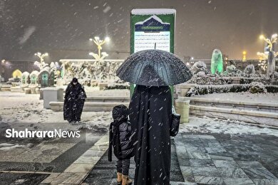 گزارش تصویری | حال و هوای برفی حرم مطهر رضوی