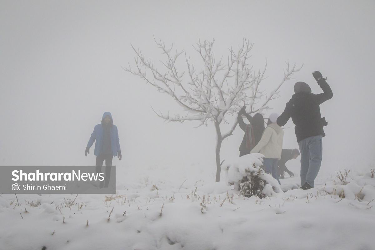 مردم در برف‌تکانی درختان مقابل منازل به شهرداری مشهد کمک کنند