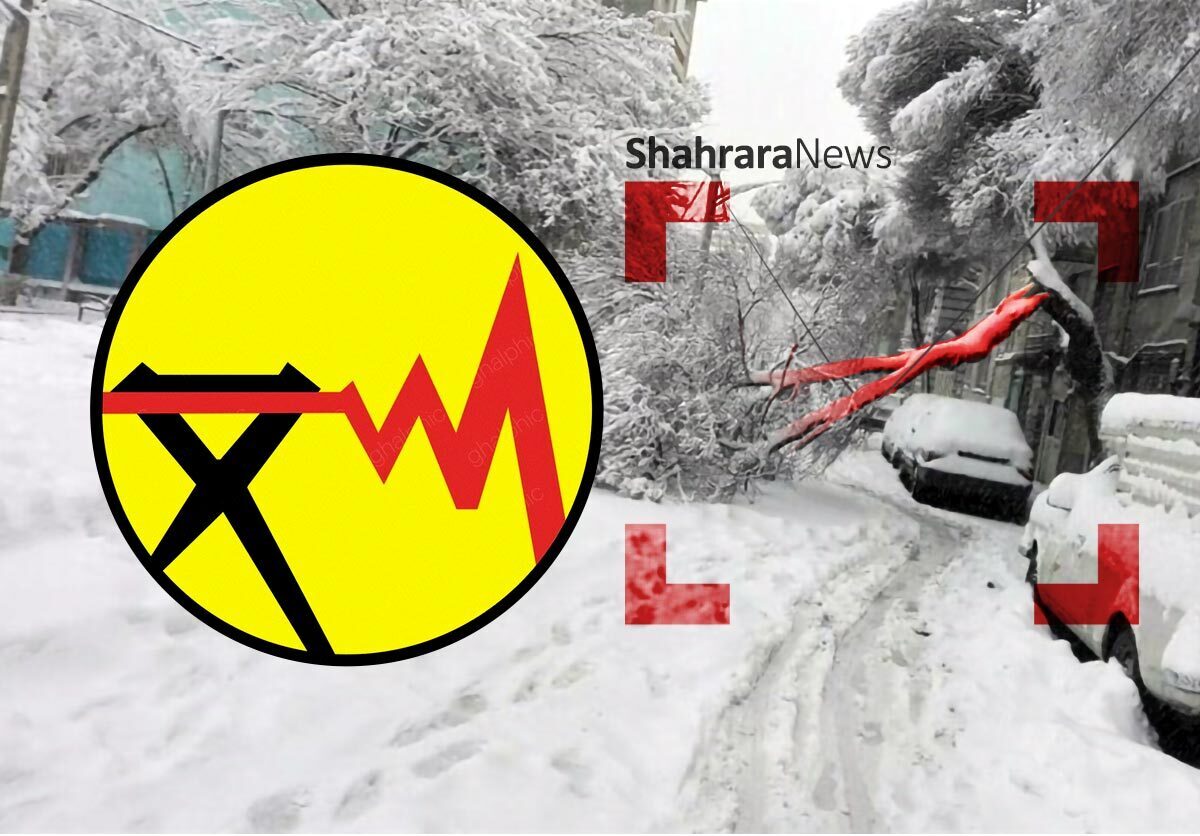 قطع برق در برخی نواحی مشهد به دلیل سقوط درختان (۲۹ آذر ۱۴۰۴)