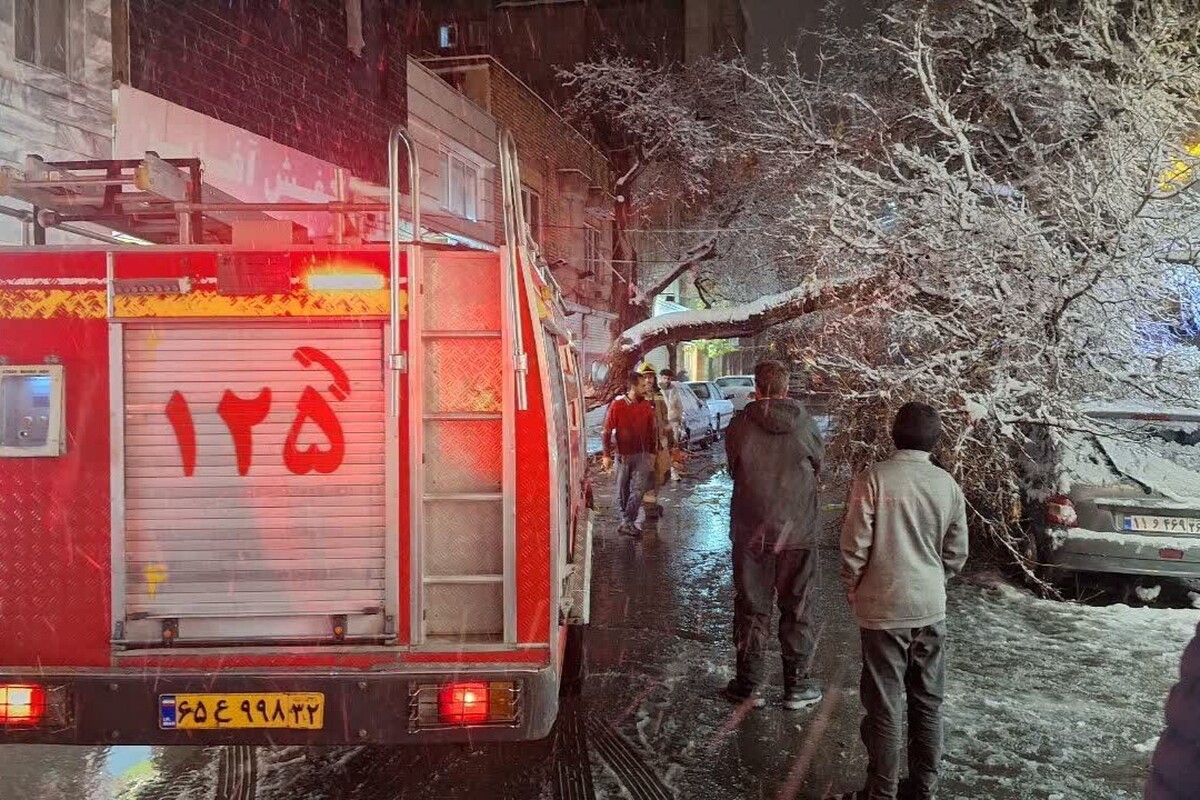 افزایش ۱۵۰ درصدی عملیات آتش‌نشانی مشهد هم‌زمان با بارش برف (۲۹ آذر ۱۴۰۴)