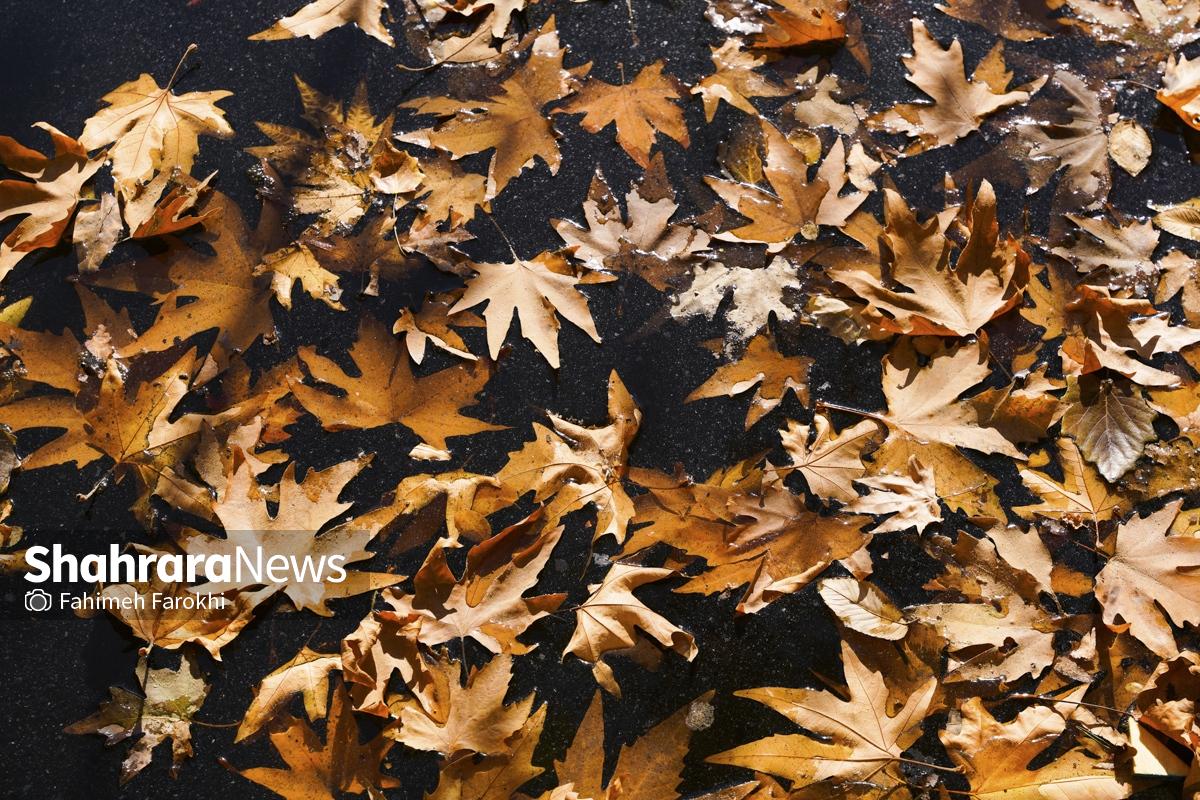 گزارش تصویری | طبیعت پاییزی شاندیز