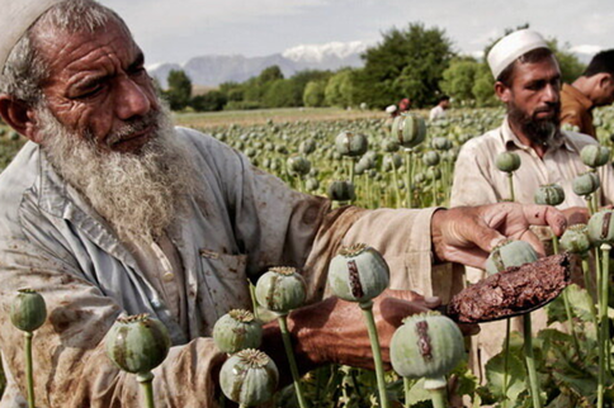 درحالی‌که کشور طی یک دهه با میانگین سالانه ۴۵۰ تا ۴۶۰ تن تریاک نیاز دارویی خود را تأمین کرده است، اکنون برخی ادعا می‌کنند این عدد دو برابر شده اما مشخص نیست ۵۰۰ تن افزایش مصرف تریاک کجا استفاده شده است.