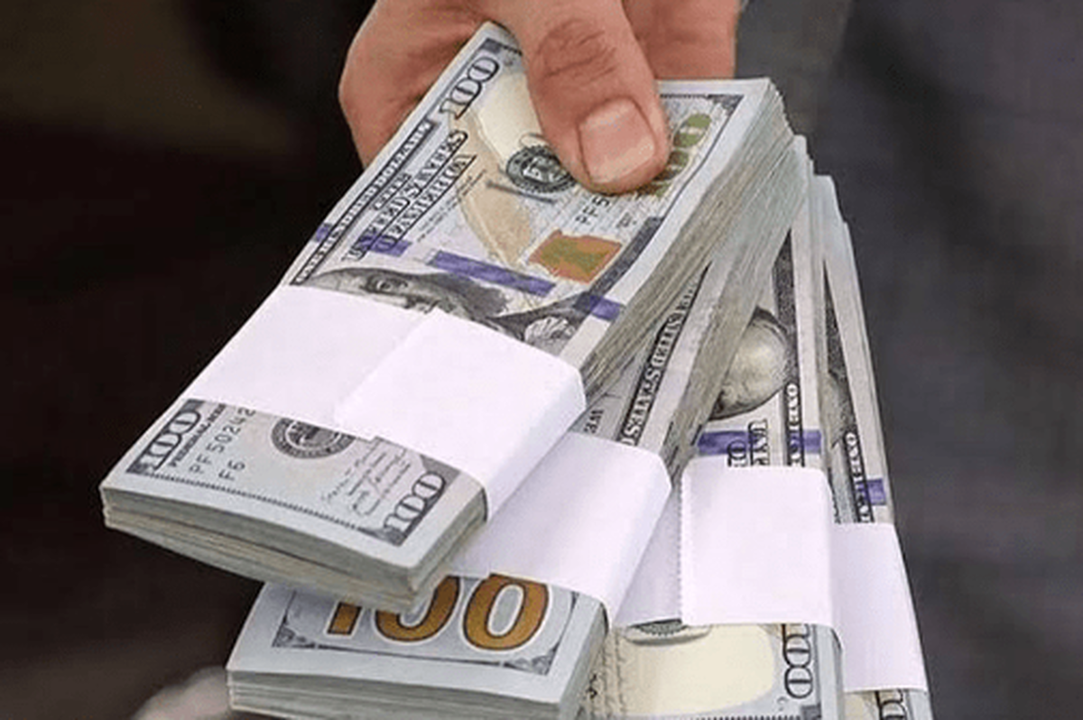 میقم ظهوریان می‌گوید که مصوبه دولت برای واردات کالا‌های اساسی بدون انتقال ارز سهمیه‌بندی ارزی را از بین می‌برد و بخشی از ارز تالار دوم را به واردات کالا‌های اساسی منتقل می‌کند.