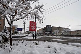 اکران فرهنگی متفاوت به‌مناسبت شب یلدا در مشهد | شهر برفی با شعار یلدایی