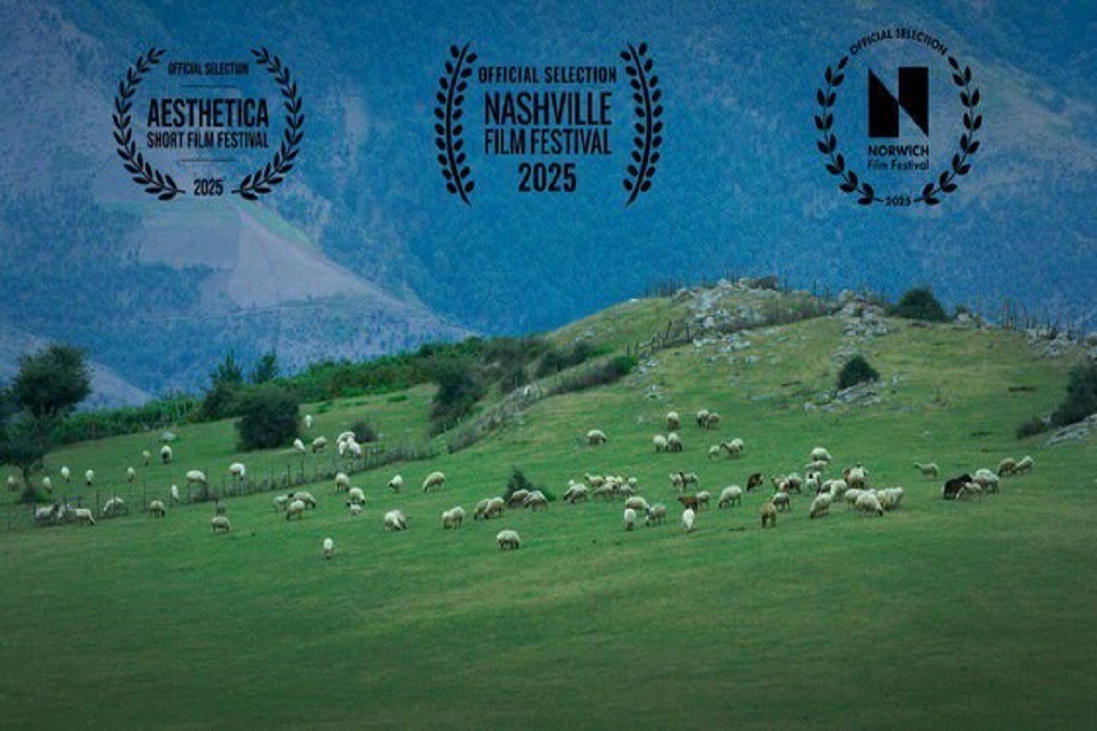 «گوسفند» ساخته هادی بابایی فر از یازدهمین جشنواره فیلم جهان سینما در لس آنجلس جایزه گرفت.