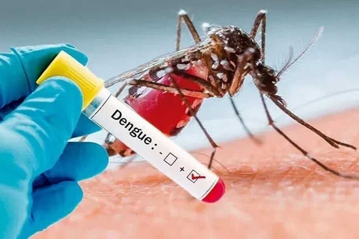 معاون بهداشتی دانشگاه علوم پزشکی هرمزگان از افزایش شمار مبتلایان به بیماری تب دنگی ناشی از گزش پشه آئدس در استان خبر داد و گفت: از ابتدای سال تاکنون ۲۳۲ نفر به این بیماری مبتلا شده‌اند.