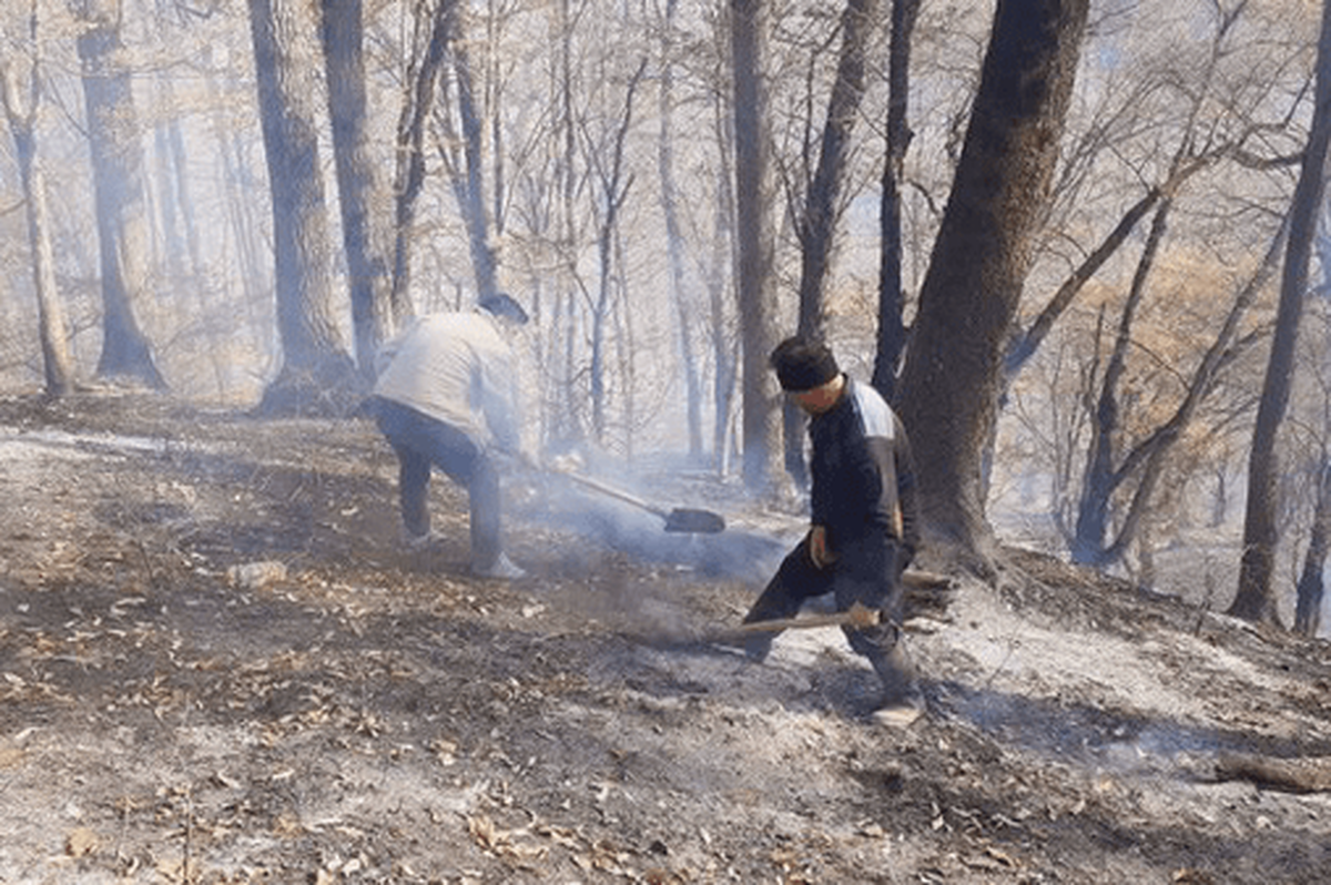 معاون هماهنگی امور عمرانی استانداری گلستان از پایان حریق در جنگل‌های استان خبر داد و گفت که نیرو‌های پایش در منطقه حضور دارند تا در صورت شعله‌ورشدن مجدد آتش آن را کنترل کنند.