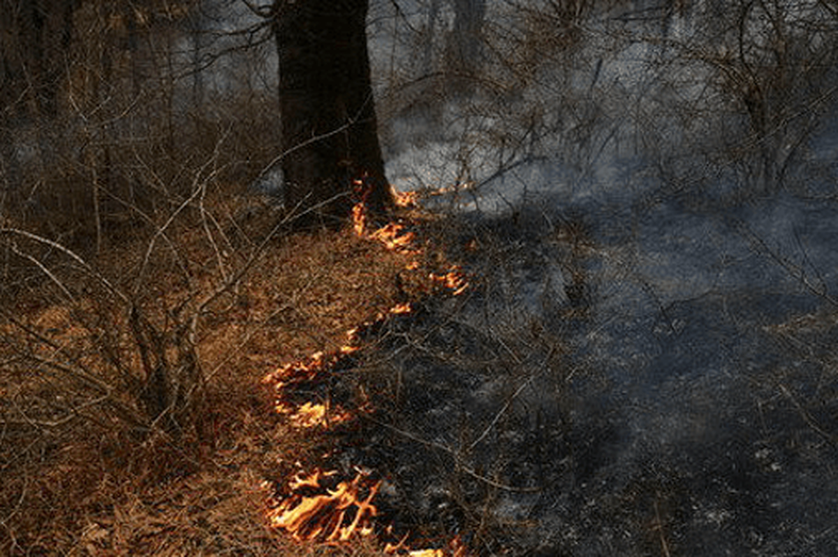 مدیرکل منابع طبیعی استان سمنان گفت: آتش‌سوزی جنگل «ابر» شاهرود با تلاش گسترده نیرو‌های مردمی و دستگاه‌های اجرایی مهار شد.
