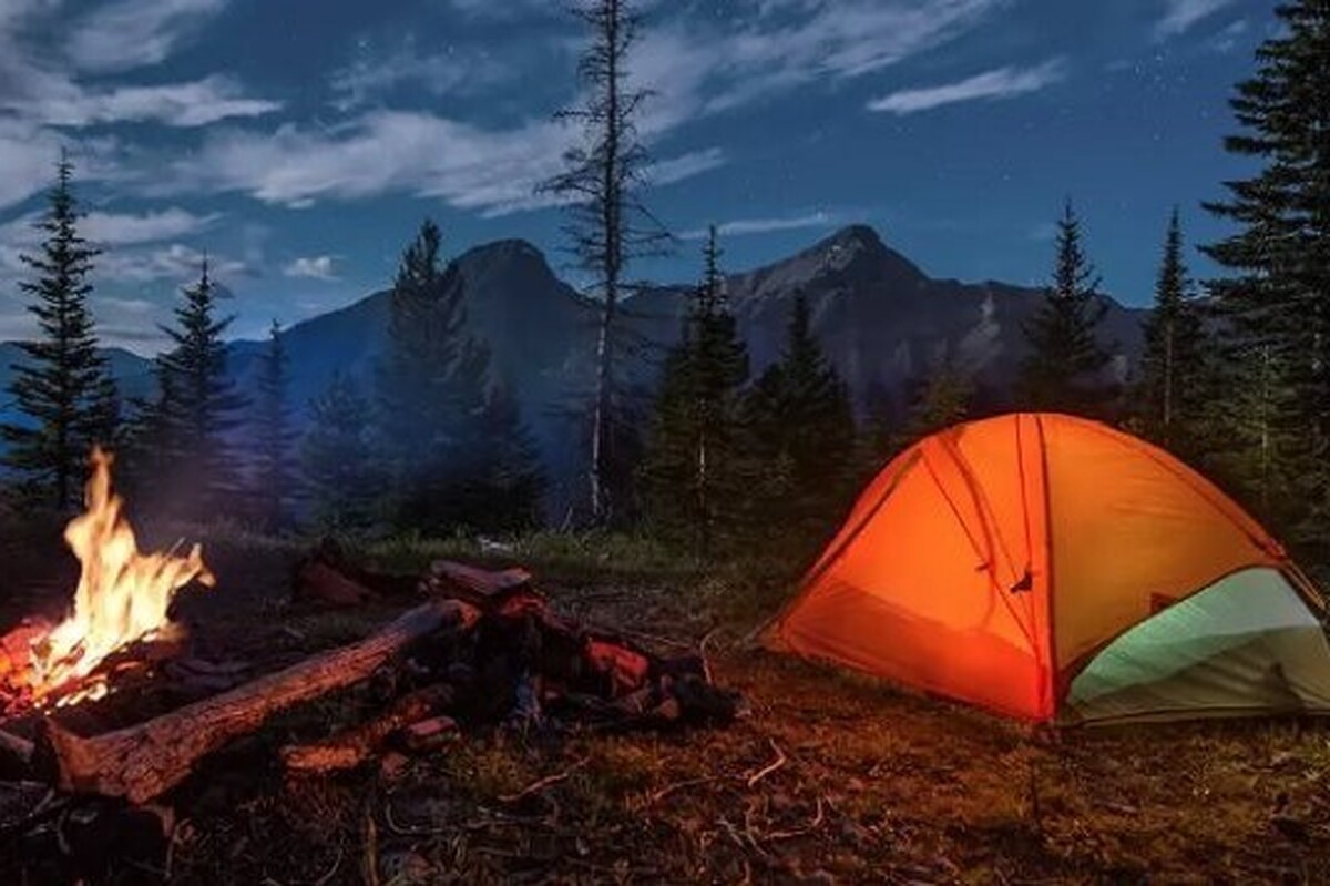 اقامت شبانه در جنگل‌های آمل ممنوع شد