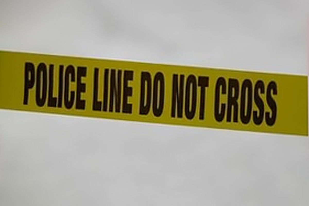 پلیس ایالتی آمریکا اعلام کرد در پی تیراندازی در یک مهمانی خانوادگی در منطقه «استاکتون» واقع در کالیفرنیا چهار نفر کشته شدند.