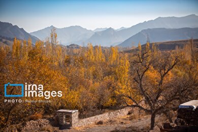 ایران زیباست | پائیز در ابیانه