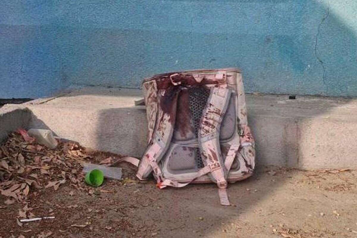 ویدئو| لحظه تلخ بی&zwnj;تابی مادر یک دانش آموز شهید مدرسه میناب
