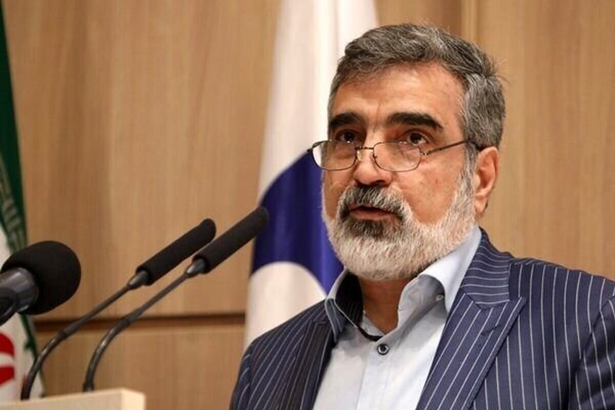 حمله به تأسیسات هسته&zwnj;ای تحت پادمان، مصداق روشن جنایت جنگی است + فیلم