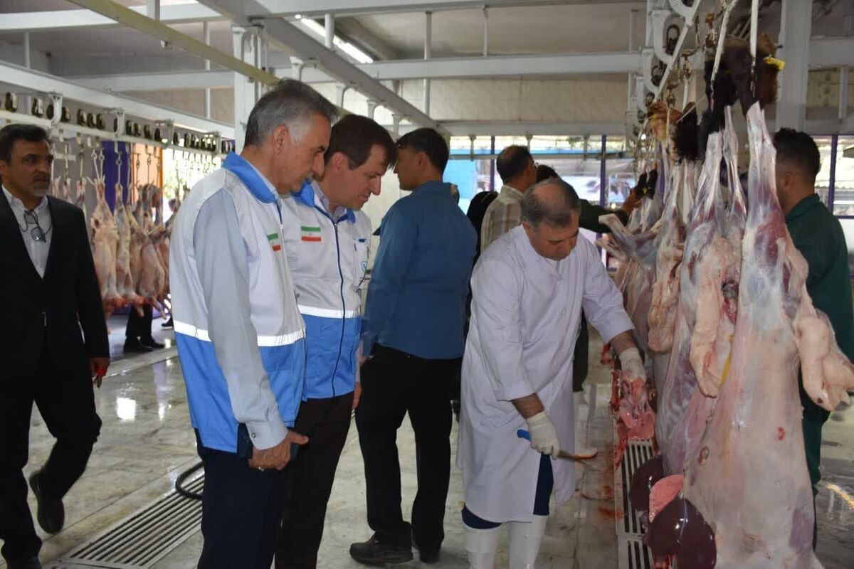 طرح تشدید نظارت&zwnj;های بهداشتی نوروزی دامپزشکی با ۱۸ هزار بازرسی پایان یافت