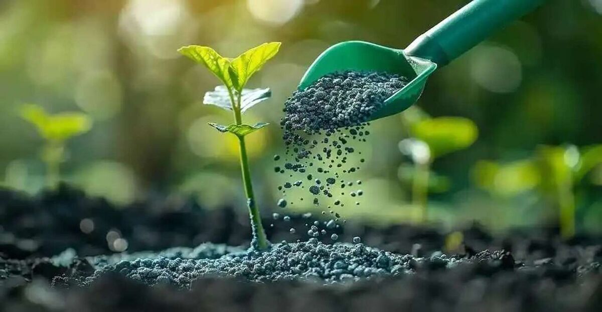 توزیع گسترده ۵۷ هزارکیسه کود اوره یارانه&zwnj;ای دراستان تهران