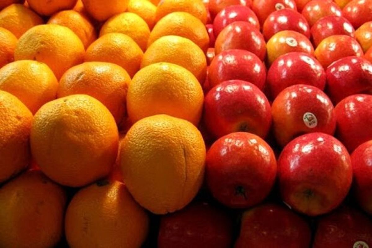 تداوم عرضه سیب و پرتقال تنظیم بازاری در سراسر کشور
