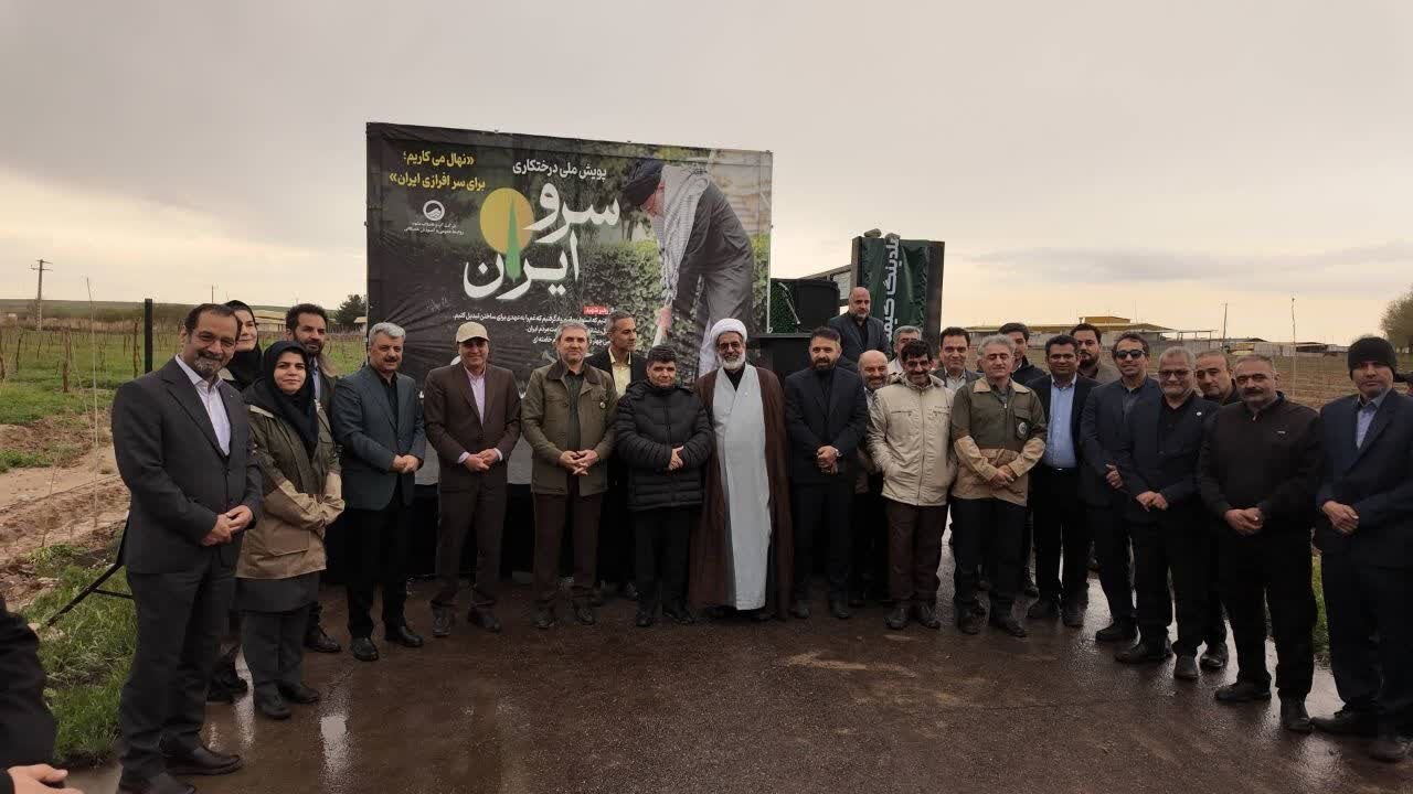 کاشت ۱۴ هزار نهال در مشهد؛ گامی نو در راستای توسعه فضای سبز کاشت ۱۴ هزار نهال در مشهد؛ گامی نو در راستای توسعه فضای سبز