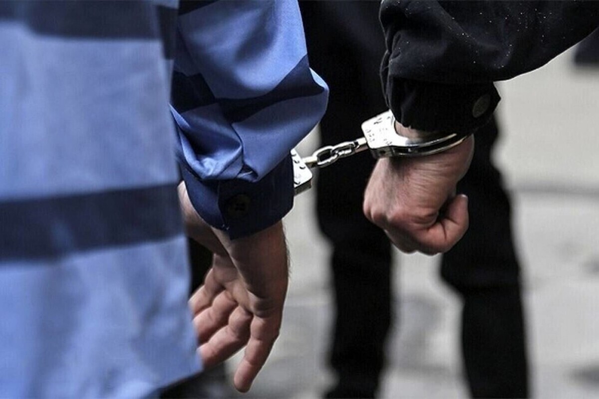 سرقت عتیقه&zwnj;های مرد تهرانی کار برادرزاده&zwnj;هایش بود