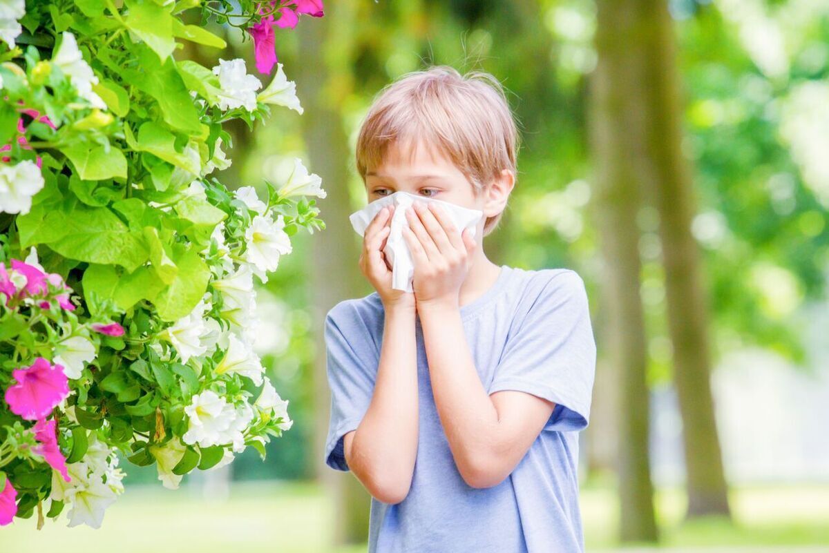 تفاوت آلرژی، سرماخوردگی و آنفلوآنزا چیست؟ | چگونه علائم را تشخیص دهیم؟
