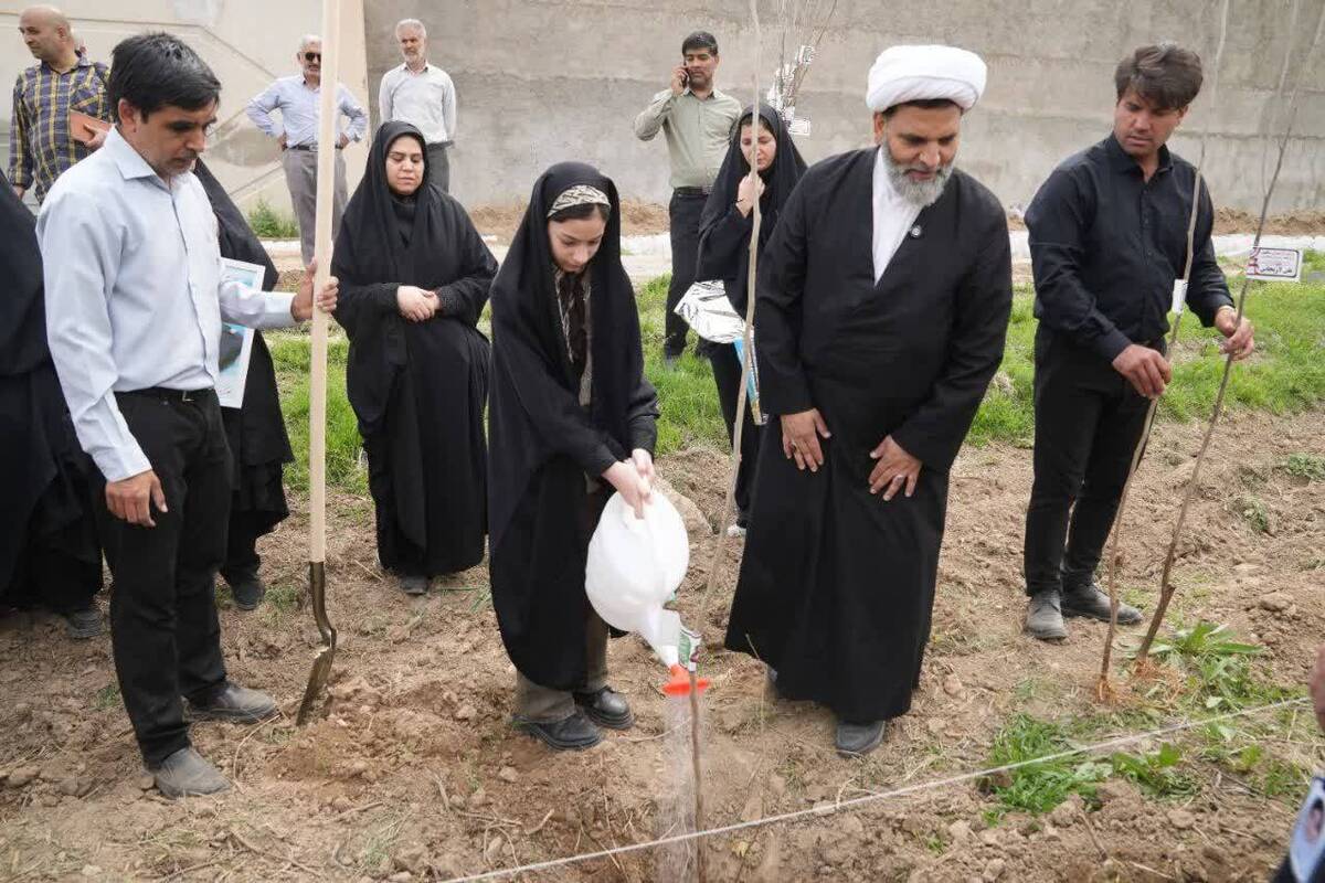 غرس ۲۳۴ نهال در موقوفه گوهرشاد، یادبود شهدای میناب در پویش ملی «سرو ایران»