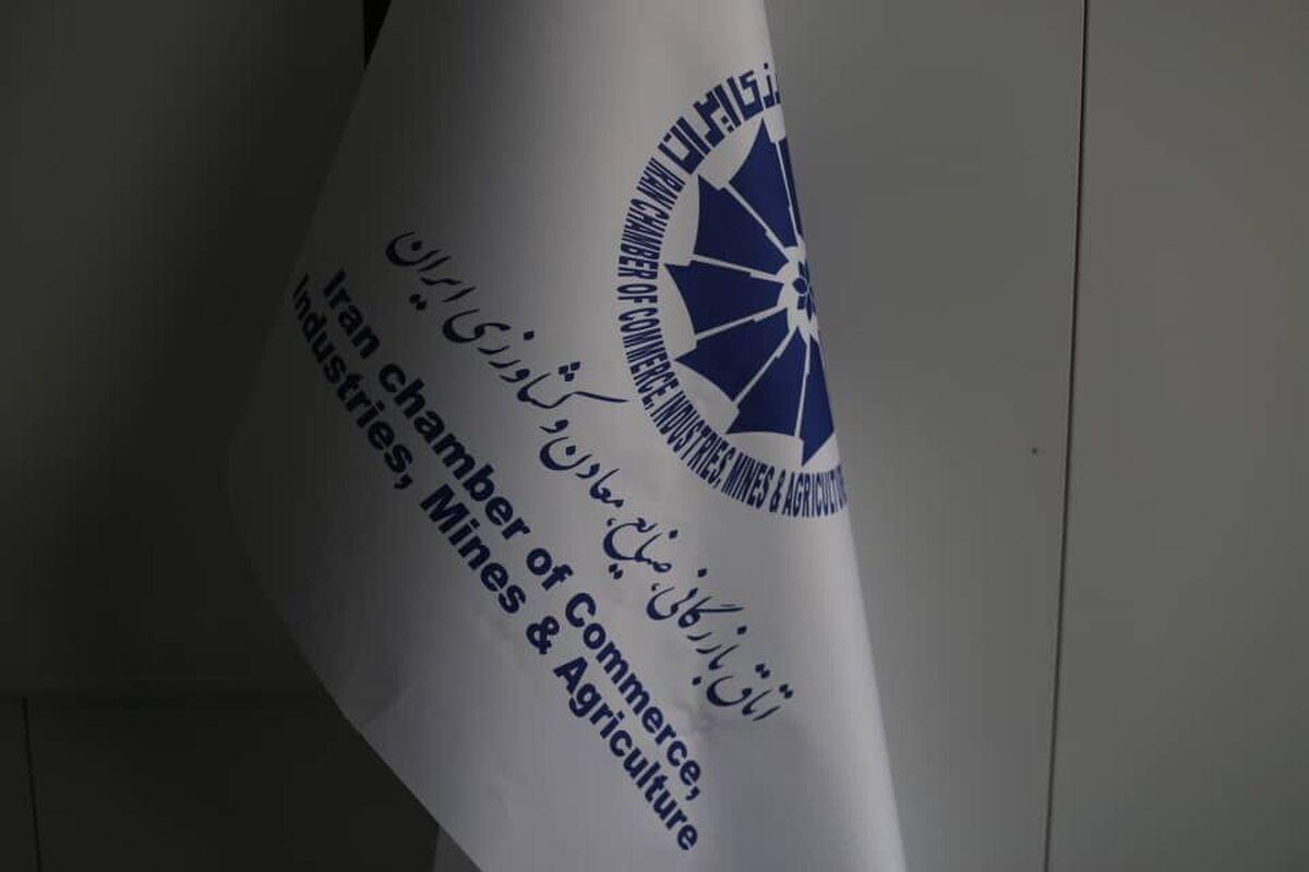 فعالان اقتصادی از پرداخت وجه برای برخورداری از اینترنت پرو خودداری کنند