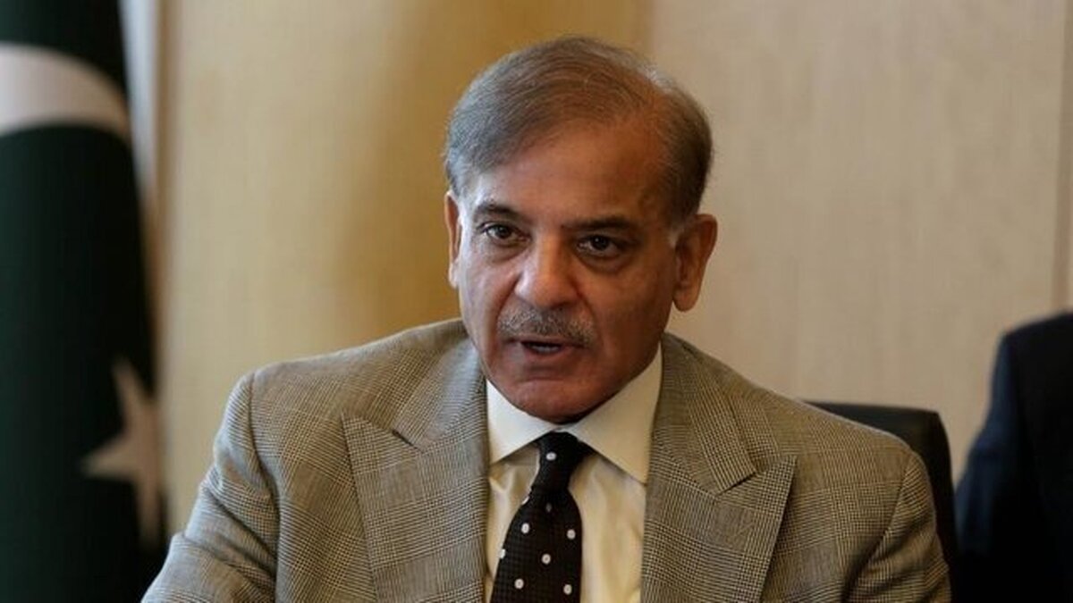 شهباز شریف با اردوغان دیدار کرد