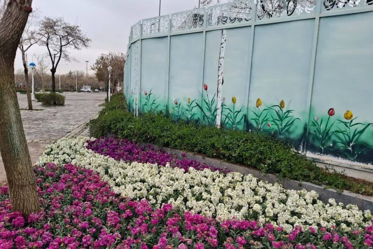 کاشت هزاران گل فصلی در شهربانو&zwnj;های مشهد در نوروز ۱۴۰۵