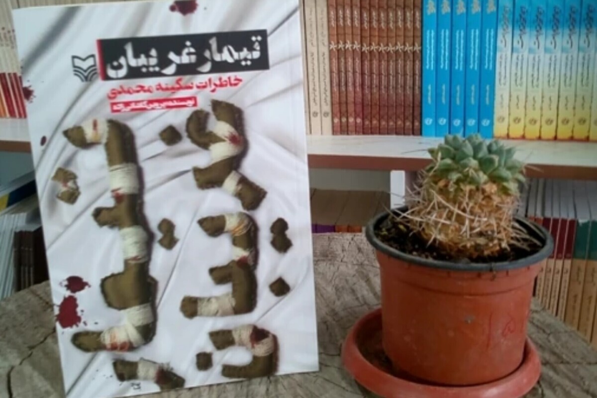 پرستاری زیر بمباران | نگاهی به کتاب &laquo;تیمار غریبان&raquo;

پرستاری زیر بمباران