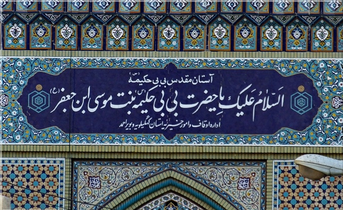 حکیمه خواهر والامقام حضرت علی&zwnj;ابن&zwnj;موسی&zwnj;الرضا (ع)؛ روایت بانوی عالمی که تاریخ کم&zwnj;تر از او گفت