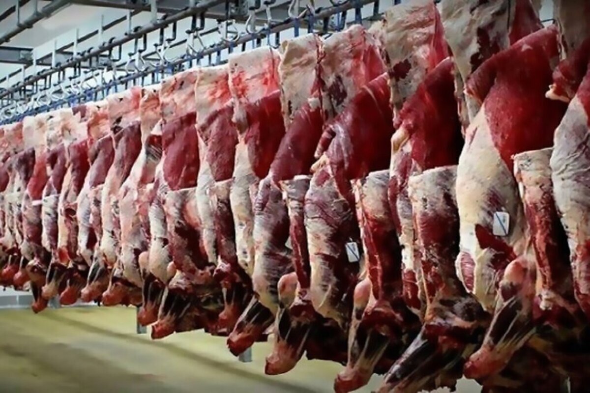 ۷۳ میلیون رأس دام سبک و رشد ۲۵ درصدی تولید گوشت؛ ایران در محاصره غذایی نیست