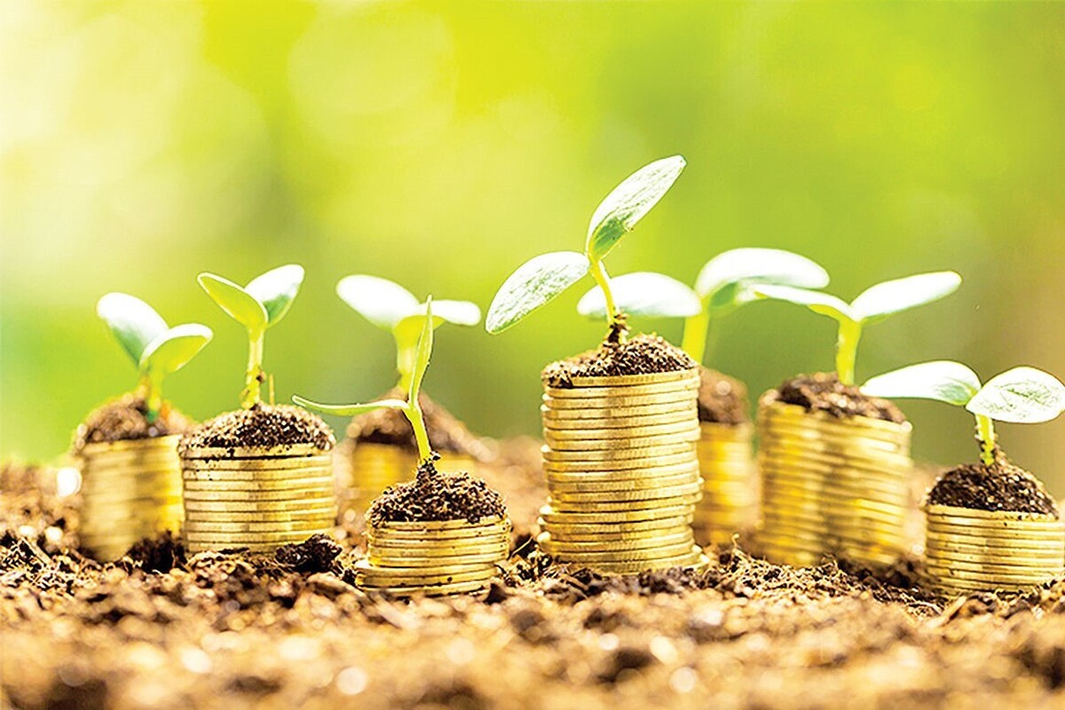 اختصاص بیش از ۳۳۵ میلیارد تومان مالیات سبز، برای آبادانی و صیانت از محیط زیست خراسان رضوی