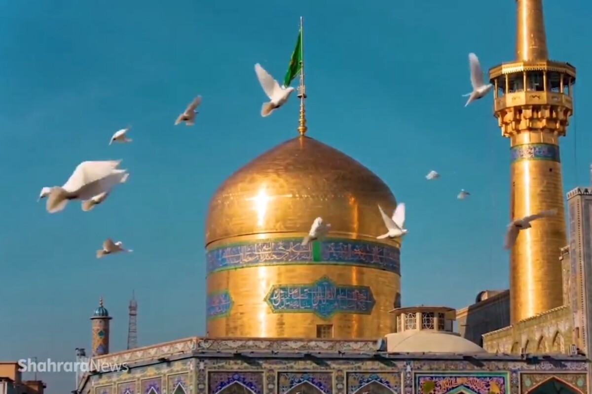 &laquo;کبوترانه&raquo; تک آهنگ جدید حجت اشرف زاده+ صوت و ویدیو&nbsp;