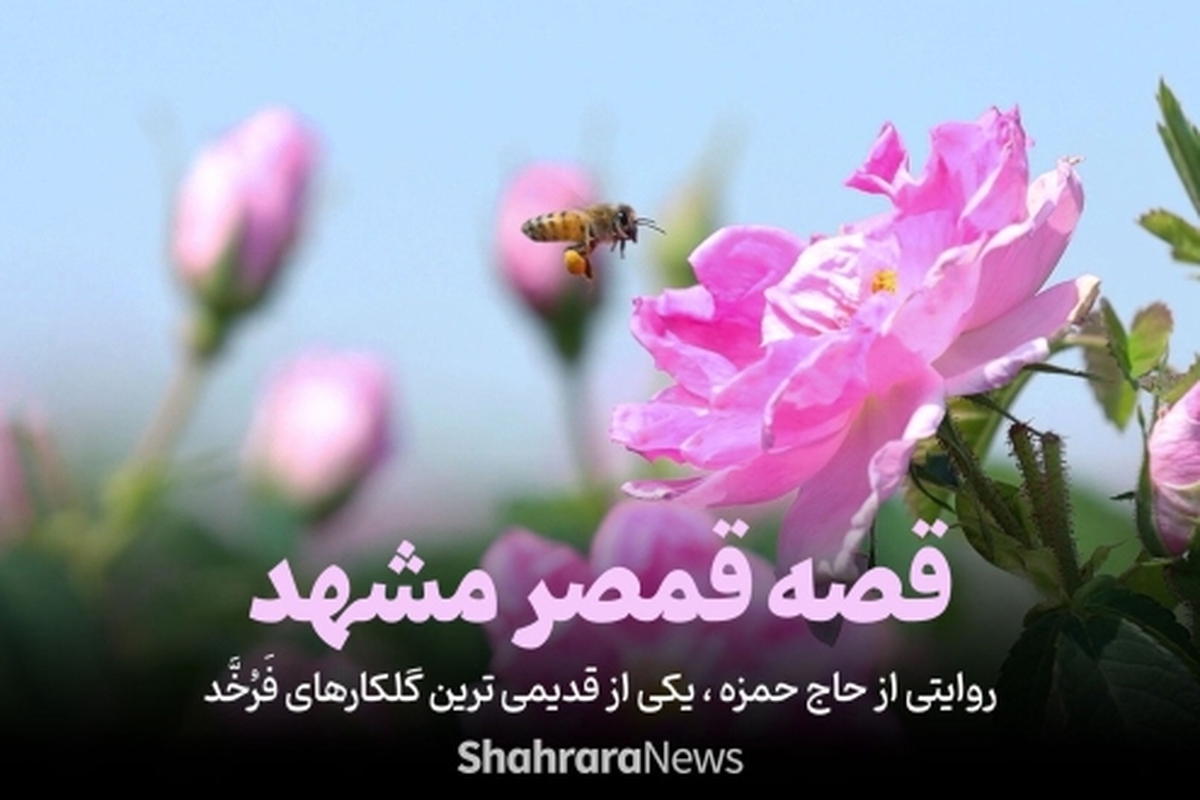 ویدئو | روایتی از حاج حمزه، یکی از قدیمی&zwnj;ترین گلکارهای فرخّد | قصه قمصر مشهد