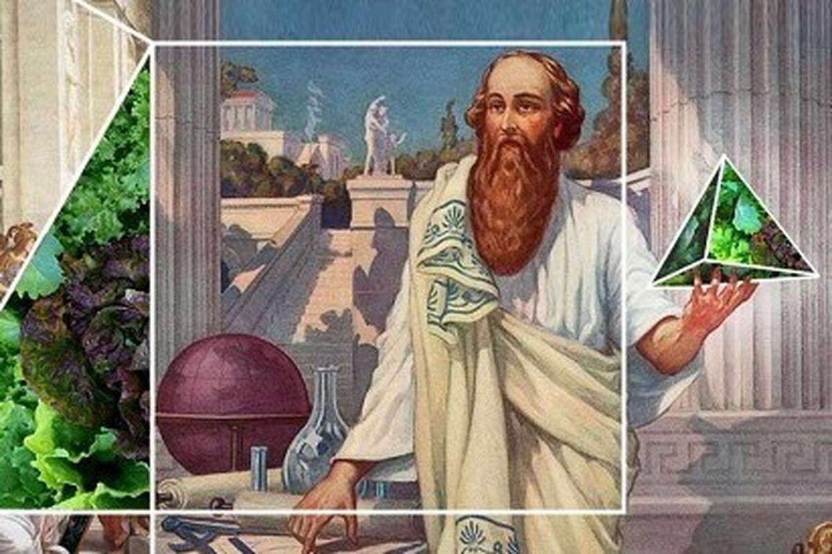 فیثاغورس، افلاطون و ارسطو زیبایی را چگونه می&zwnj;فهمیدند؟