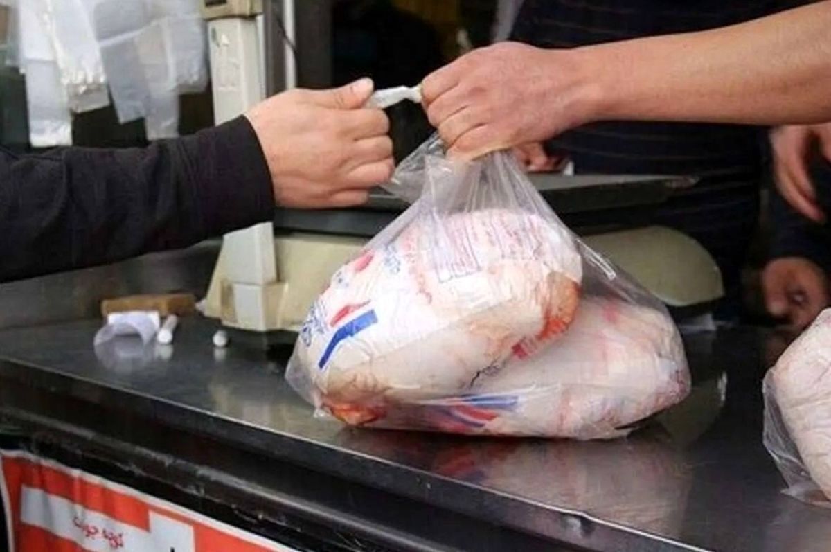 توزیع گسترده مرغ منجمد در فروشگاه&zwnj;های خراسان رضوی از فردا (چهارشنبه ۲۳ اردیبهشت ۱۴۰۵)